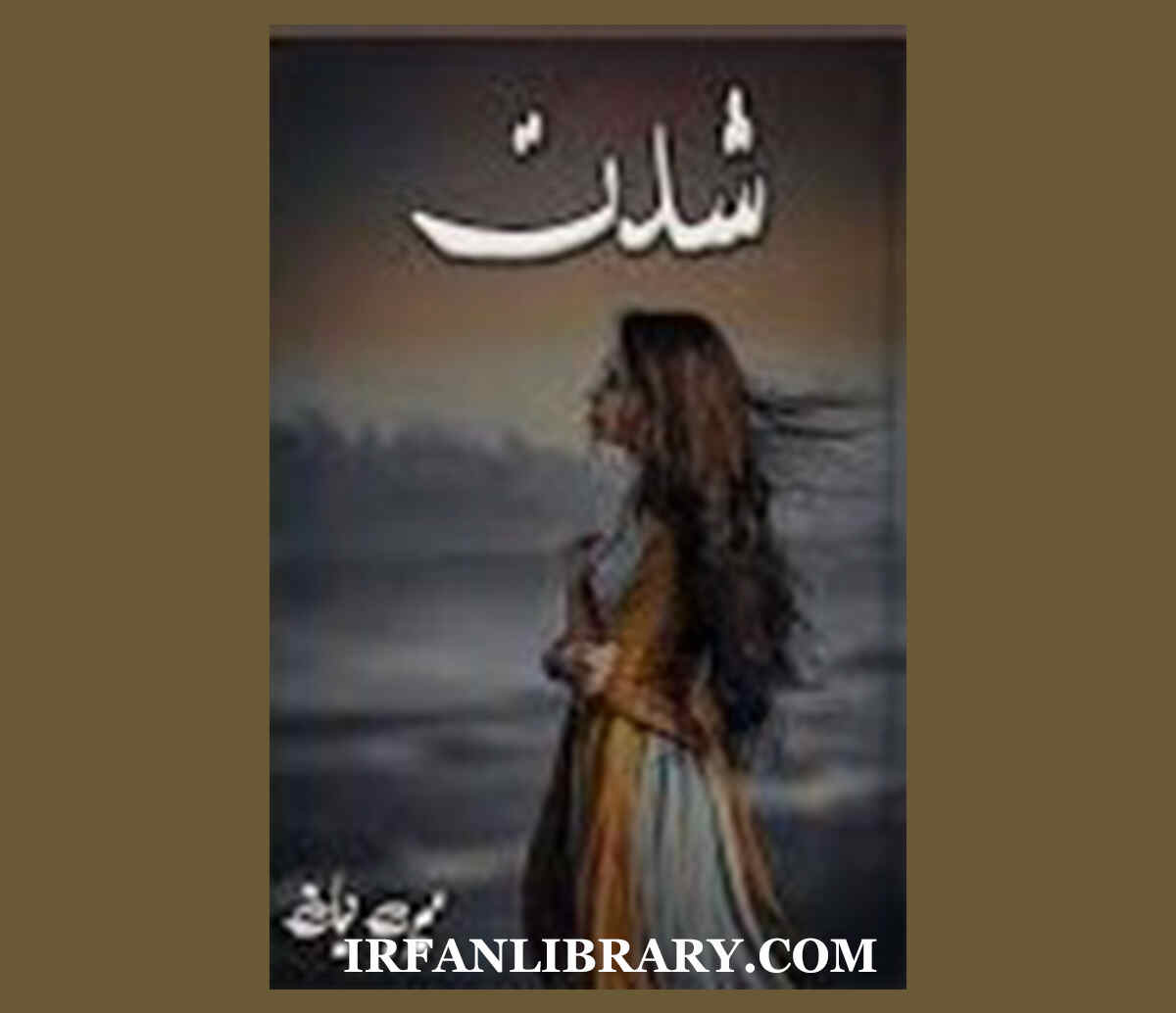Shiddat Novel by Meerab Hayat PDF