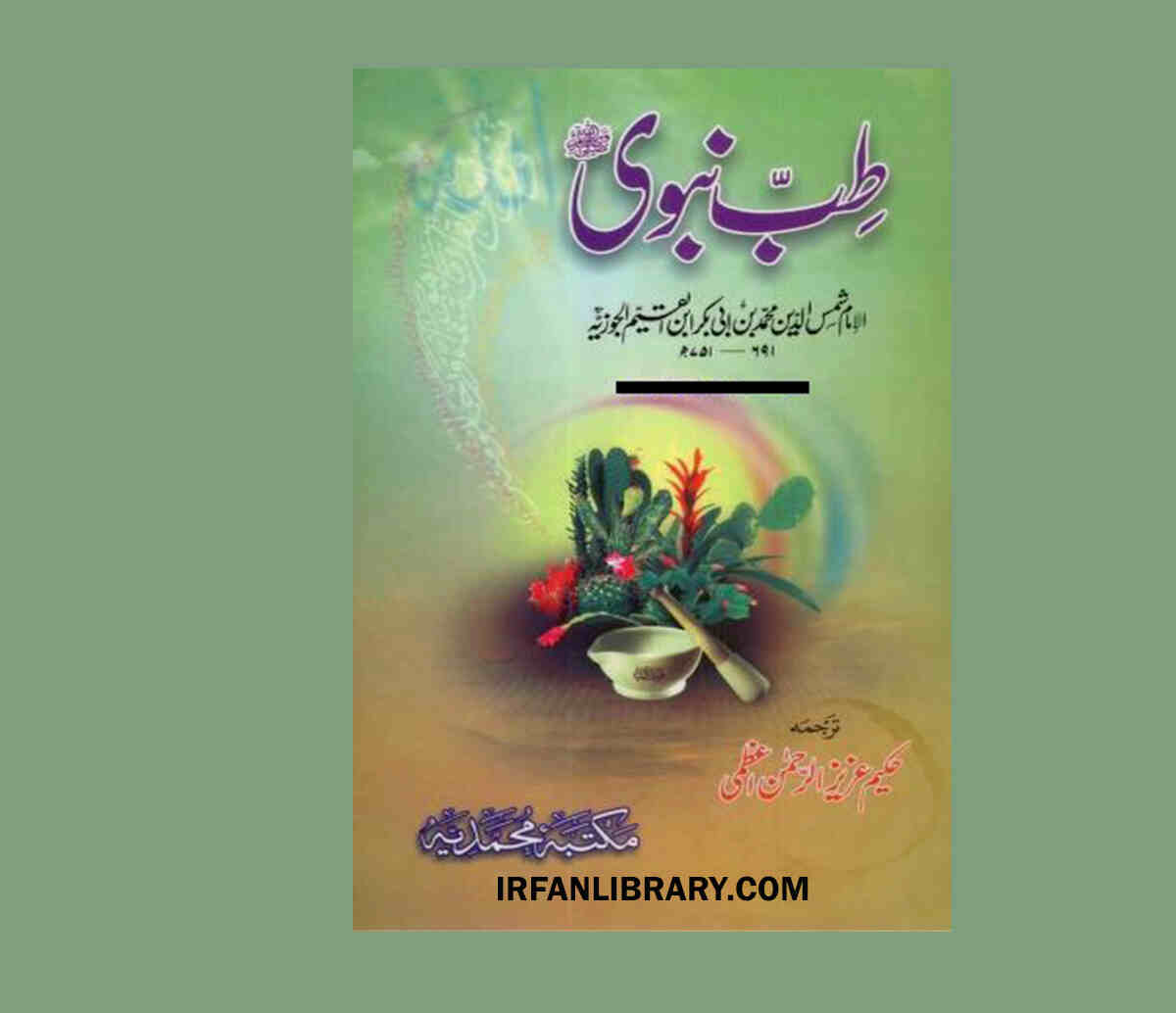 Tibb e Nabvi Urdu by Imam Ibn ul Qaiyyum
